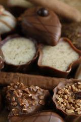 Chocolate Praline Dessert