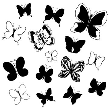 Collection of flying butterflies silhouettes