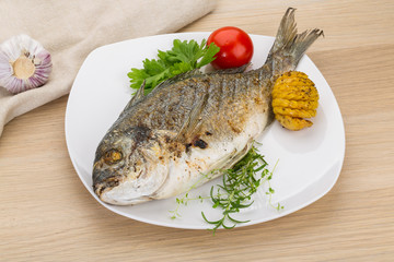 Grilled dorado
