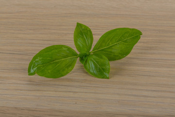 Basil leaves