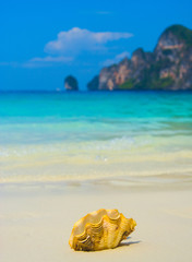 Exotic Shore Beach Pearl