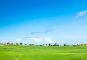 Heavenly Green Fields