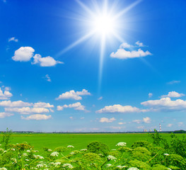 Summer Wallpaper Field Landscape