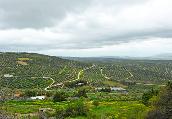 Fototapeta na wymiar Paisaje desde Úbeda, provincia de Jaén, España. Olivares de Jaén
