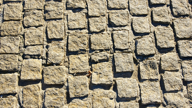 Imagenes Graficos Vectores Y Videos Libres De Derechos De Autor Y Fotos Sobre El Tema Piedra Labrada Adobe Stock