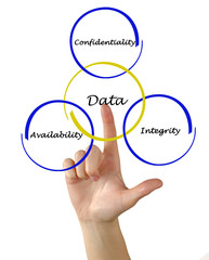 Principles of data management