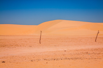 Fototapeta na wymiar Sand dunes of Sahara desert near Ong Jemel in Tozeur,Tunisia.