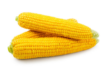 fresh raw corn on white background. isolated