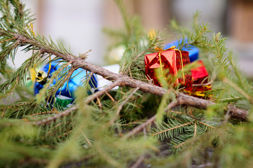 Christmas gifts lying under a fir branch