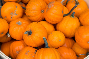 Small Pumpkins