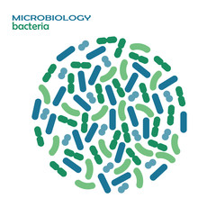 Bacteria. Vector.
