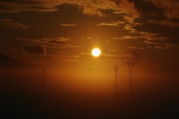 Naklejka premium Romance