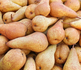 Fototapeta na wymiar Organic pears