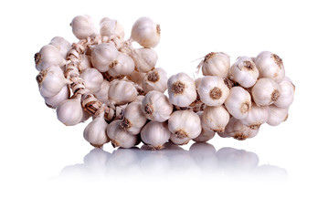 garlic in a bundle on an isolated background with reflection