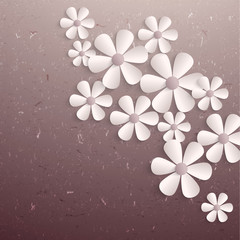 3d paper sakura flowers.