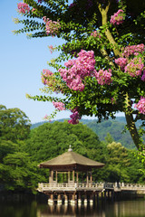 サルスベリ咲く奈良浮見堂