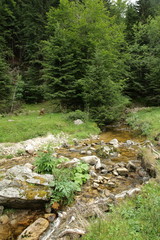 Rivière de la clarianelle,Pyrénées audoises