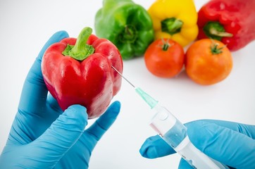 Man with gloves working with pepper in genetic engineering labor
