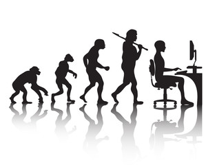evolution   programmer
