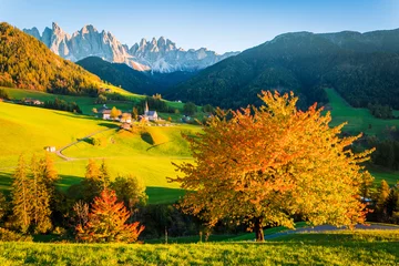 Fototapeten Dolomiten, Val di Funes, Herbstlandschaft © ronnybas