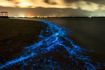 Bio luminescence. Night beach scene in Maldives with bio luminescent plankton illuminating the waterline. - obrazy, fototapety, plakaty