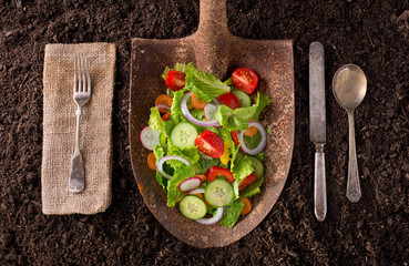 Locally grown garden salad on rusted shovel.