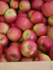 apple box market