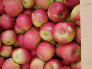 apple box market