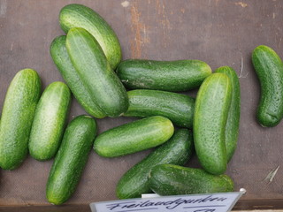 cucumber wood