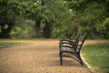 Stylish bench in autumn park