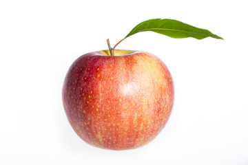 Fresh apple isolated on white background