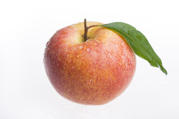 Fresh apple isolated on white background