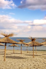 Bamboo Beach Umbrellas