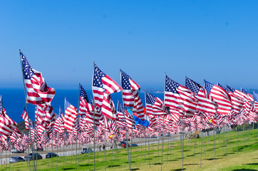 American flags on a field