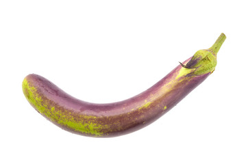 Egg plant isolated on white background