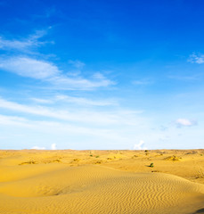 Desert landscape