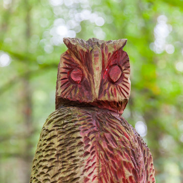 Old wooden carved owl