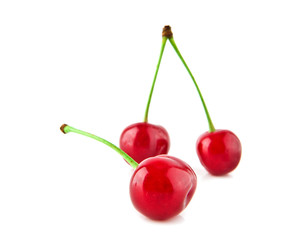 cherry