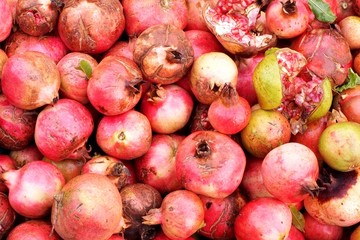 Freshly picked pomegranates