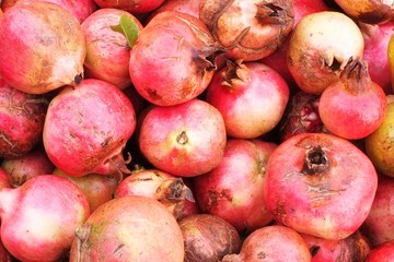 Freshly picked pomegranates