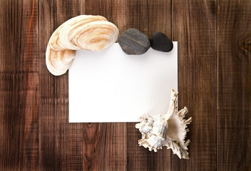 paper for a record with cockleshells and stone