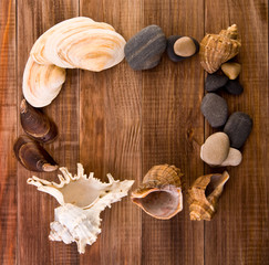 cockleshells and stone