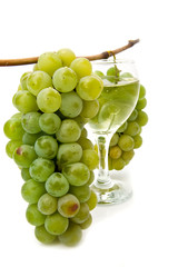 vine and glass of wine