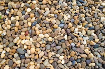 Sea stones