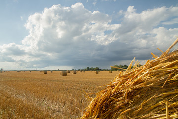 Fototapeta na wymiar large haystack