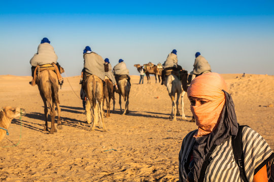 Beduins leading tourists on camels at short tourist tour around