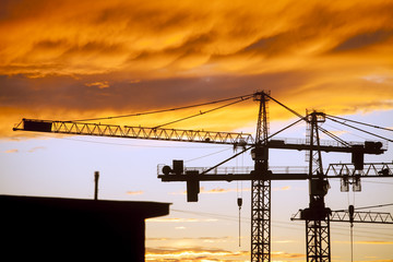 Cranes at dusk