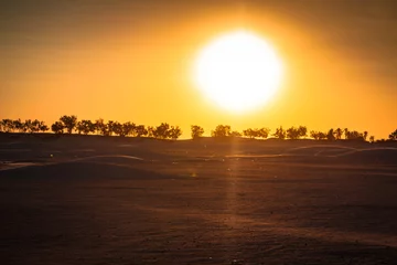 Fotobehang Sunset in the Sahara desert - Douz, Tunisia. © Lukasz Janyst