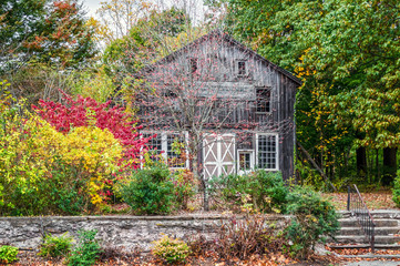 Rural Autumn Scene