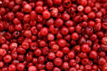 Pink Pepper